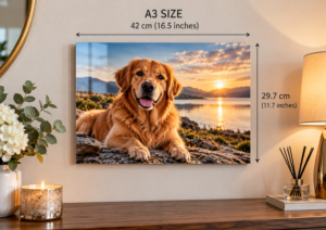 a3 golden retriever sunset metal print